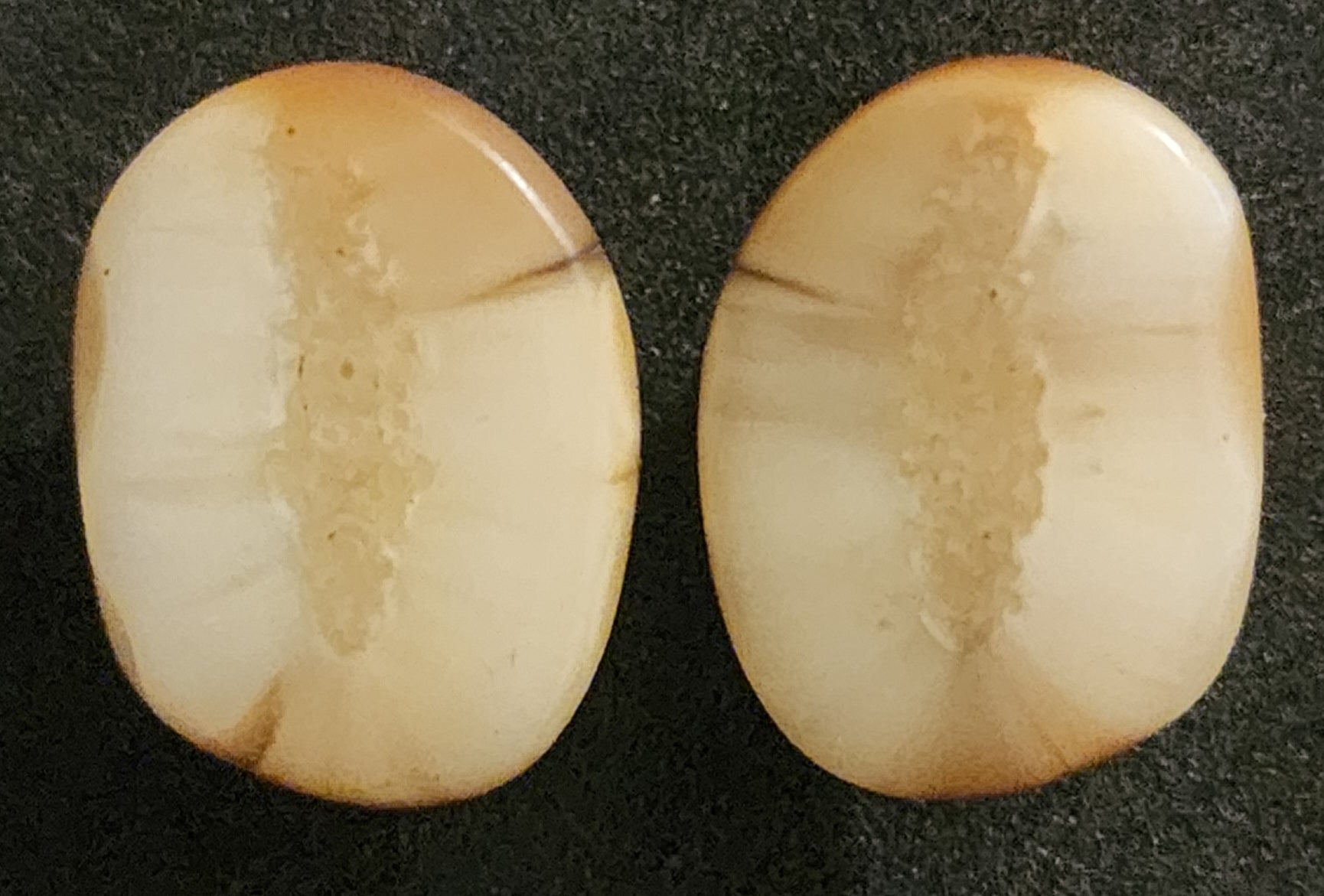 Handmade Alaskan Moose/Caribou Antler Slice Stud Earrings - Natural Rustic Jewelry