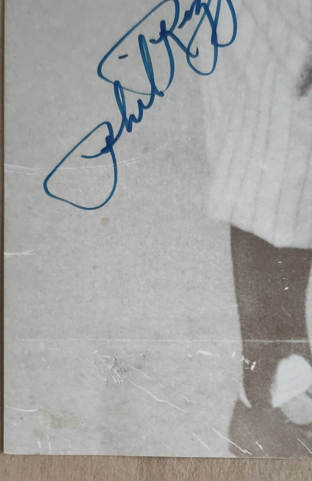 Phil Rizzuto Auto New York Yankees Vintage Baseball 8x10 Photo + 1951 Card Fair